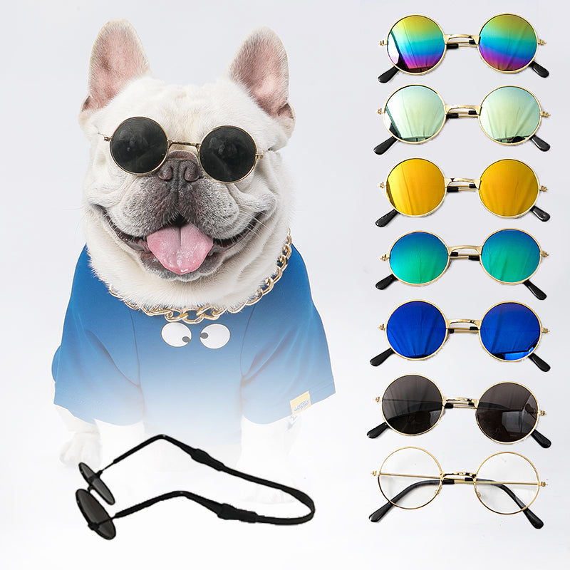 Doggy Sunglasses