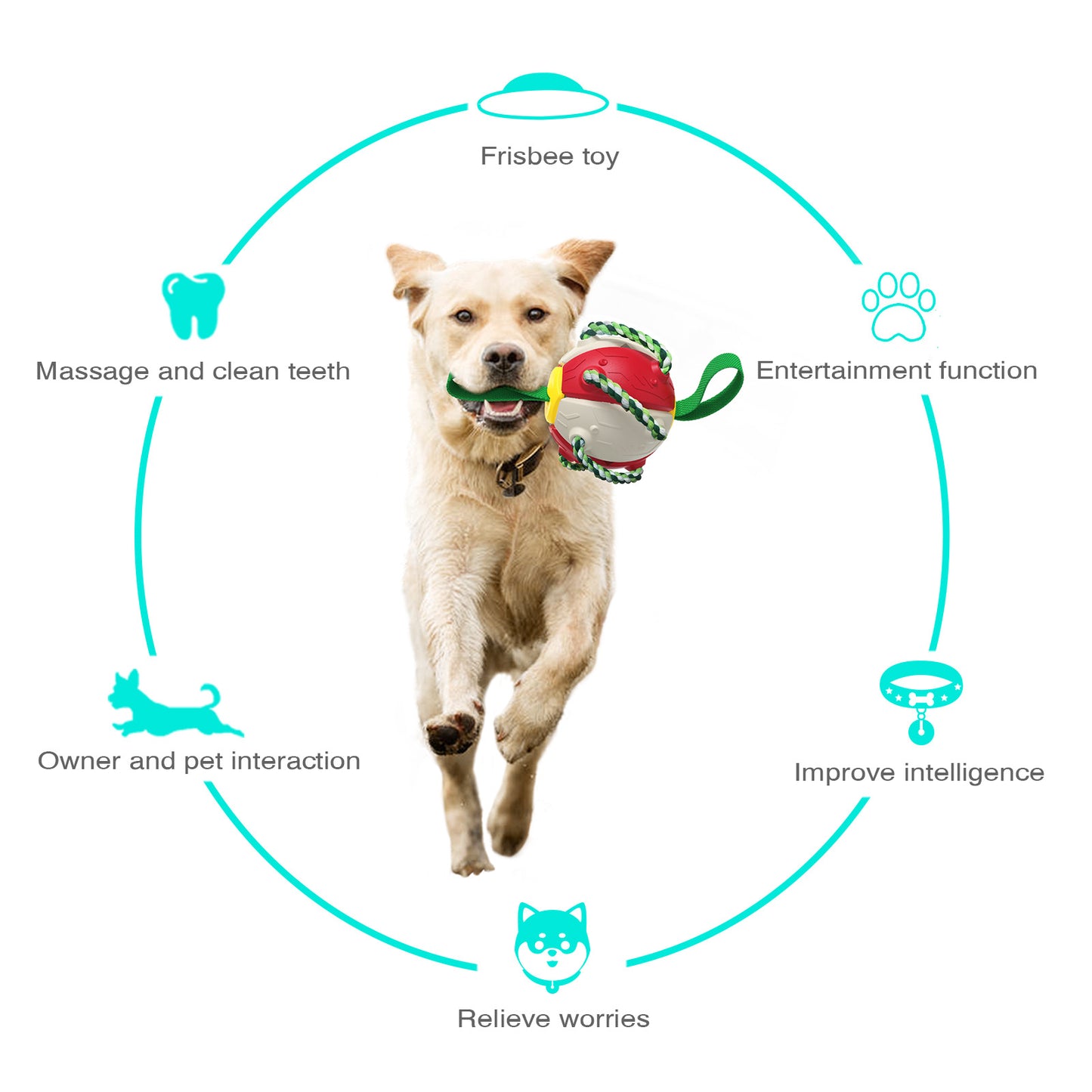 Interactive Dog Frisbee Ball Toy