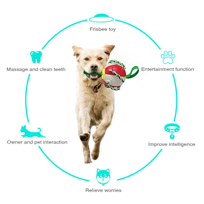 Interactive Dog Frisbee Ball Toy