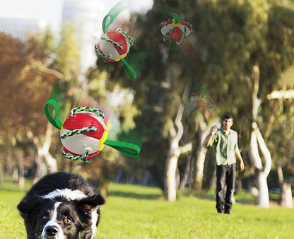 Interactive Dog Frisbee Ball Toy