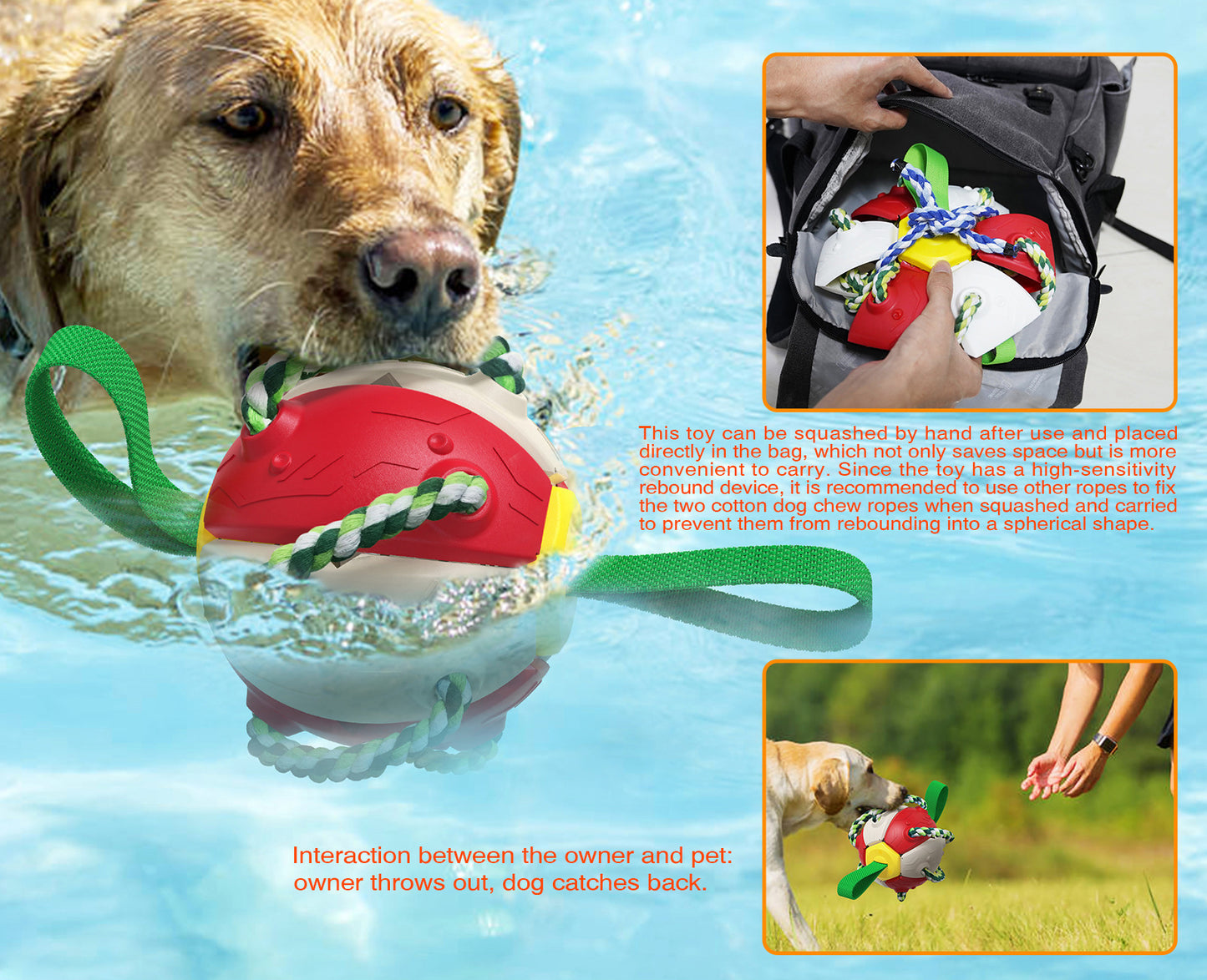 Interactive Dog Frisbee Ball Toy