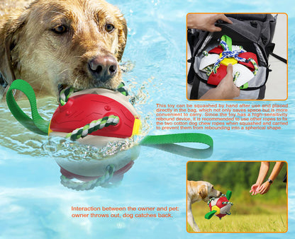 Interactive Dog Frisbee Ball Toy