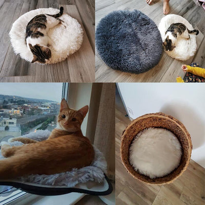 Round Dog and Cat Bed