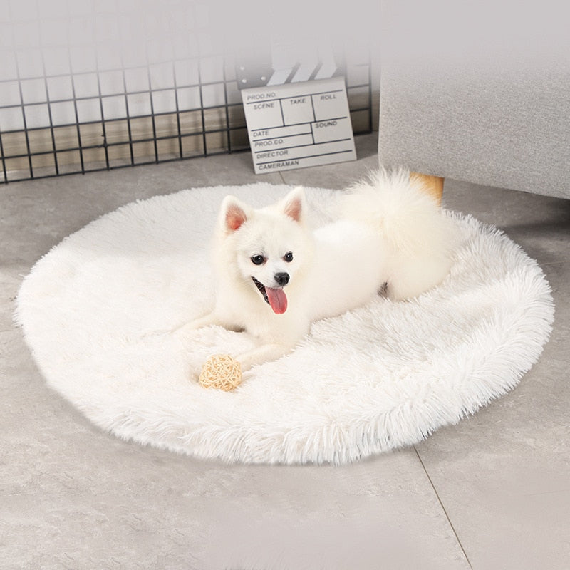 Round Dog and Cat Bed