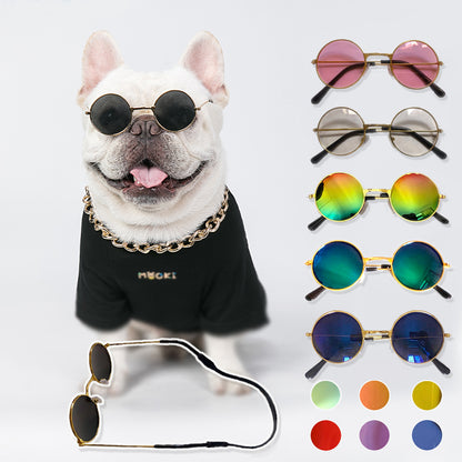 Doggy Sunglasses