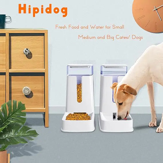 Automatic Cat & Dog Feeder